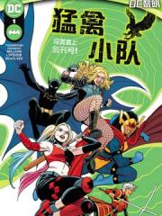 猛禽小队V5 - DC Comics 漫画封面