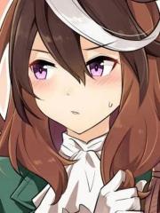 idonum老师赛马娘合集 - idonum 漫画封面