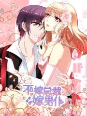 不嫁总裁嫁男仆漫画封面