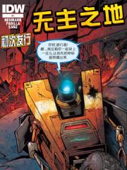 无主之地：火石镇的陨落 - IDW 漫画封面