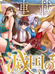 灭国的宦官 - 宵野コタロー 漫画封面