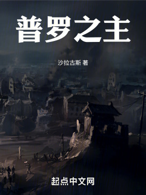 普罗之主最新章节小说封面