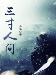 三寸人间最新章节小说封面