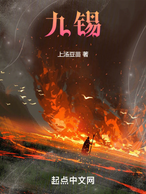 九锡最新章节小说封面