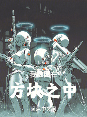 我被困在方块之中最新章节 - 狂喜 小说封面