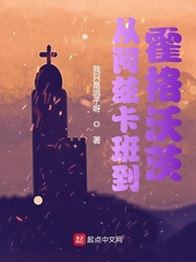 从阿兹卡班到霍格沃茨最新章节小说封面