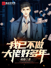 我已不做大佬好多年最新章节小说封面