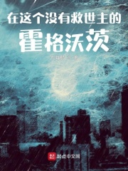 在这个没有救世主的霍格沃茨最新章节小说封面