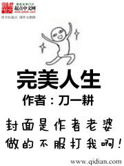 完美人生最新章节 - 刀一耕 小说封面