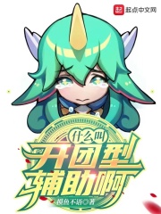 什么叫开团型辅助啊最新章节小说封面