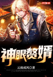 神眼赘婿最新章节小说封面