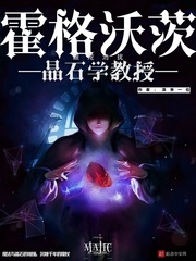 霍格沃茨晶石学教授最新章节小说封面