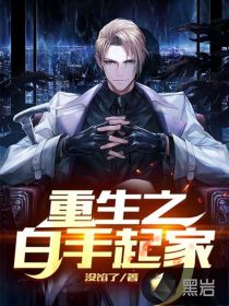 重生之白手起家最新章节小说封面