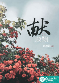 献殷勤最新章节小说封面