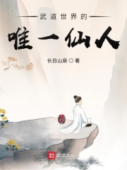 武道世界的唯一仙人最新章节小说封面
