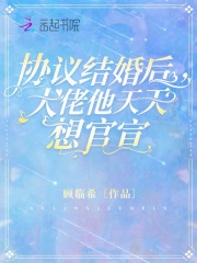协议结婚后，大佬他天天想官宣最新章节小说封面