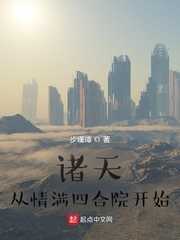 诸天：从情满四合院开始最新章节小说封面