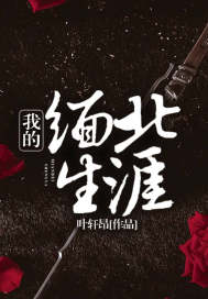 我的缅北生涯最新章节小说封面