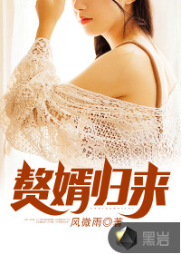 赘婿归来最新章节 - 风微雨 小说封面