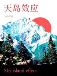 天岛效应最新章节 - 池总渣 小说封面