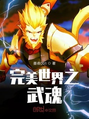 完美世界之武魂最新章节小说封面
