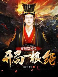 大明：穿越崇祯帝，开局一根绳最新章节 - 文盲写小说 小说封面