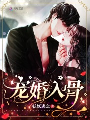 宠婚入骨最新章节小说封面