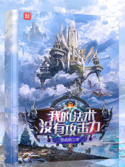 我的法术没有攻击力最新章节小说封面