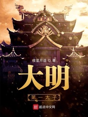 大明第一太子最新章节小说封面