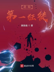 足坛第一狂徒最新章节小说封面