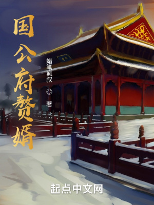 国公府赘婿最新章节小说封面
