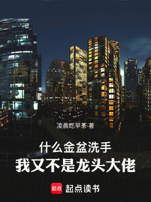 什么金盆洗手，我又不是龙头大佬最新章节小说封面