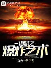 海贼之爆炸艺术最新章节 - 农夫一拳 小说封面