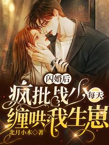 闪婚后，疯批战少每天缠哄我生崽最新章节 - 北月小木 小说封面