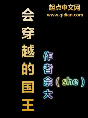 会穿越的国王最新章节 - 佘大 小说封面