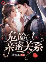 危险亲密关系最新章节 - 沐惜羽 小说封面