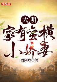 大明：家有蛮横小娇妻最新章节 - 段阿玖 小说封面