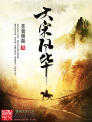 大宋风华最新章节 - 圣者晨雷 小说封面