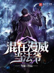 混在漫威当法爷最新章节 - 驾雾 小说封面