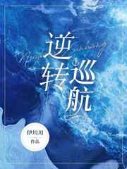 逆转巡航最新章节 - 伊川川 小说封面