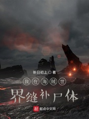 我在海贼世界缝补尸体最新章节 - 新日初上 小说封面